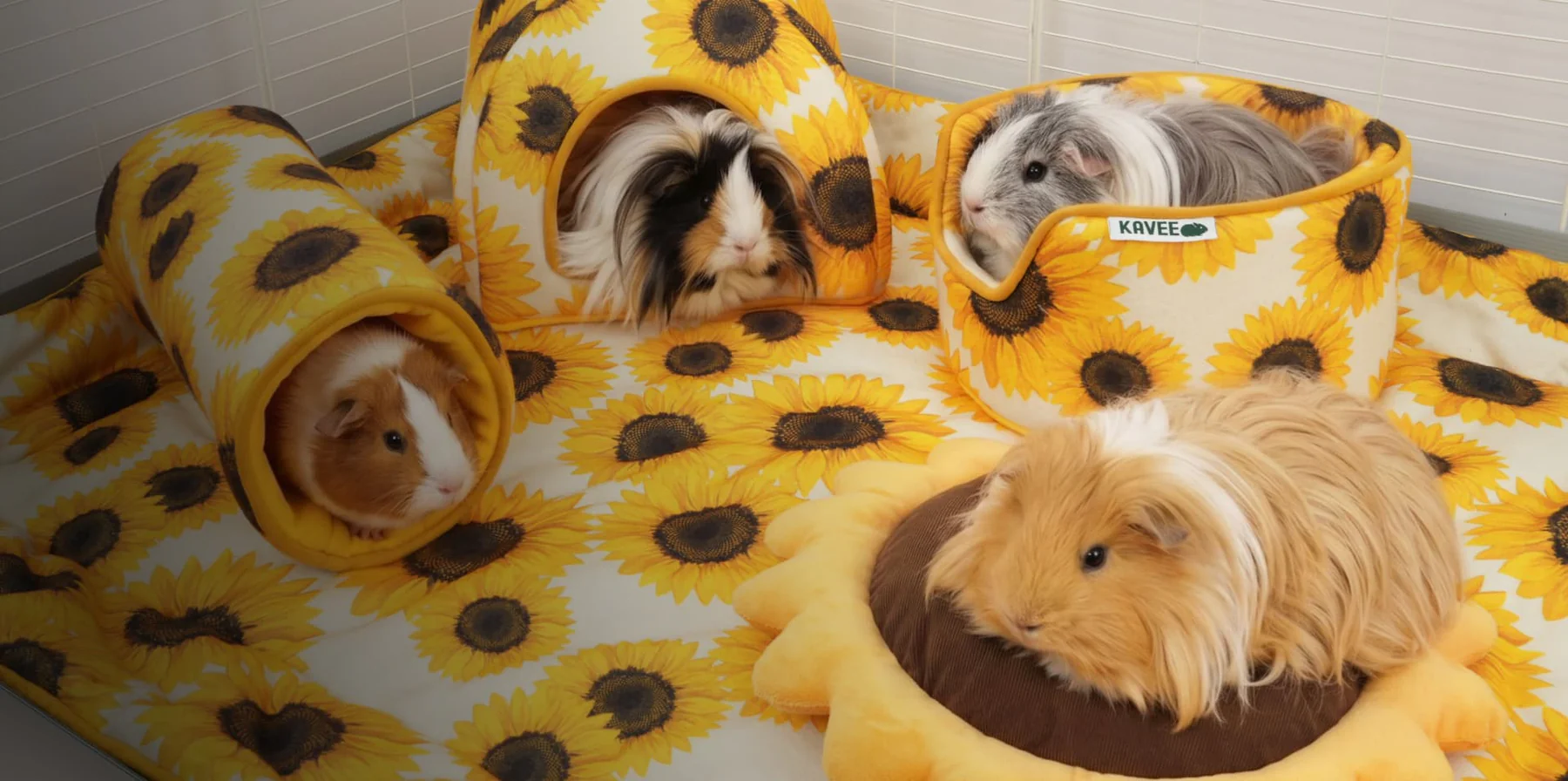 Premium Comfort for Happy Piggies